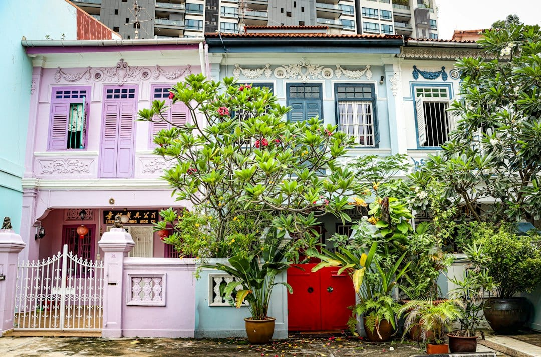 Lush greenery along a Joo Chiat residential lane